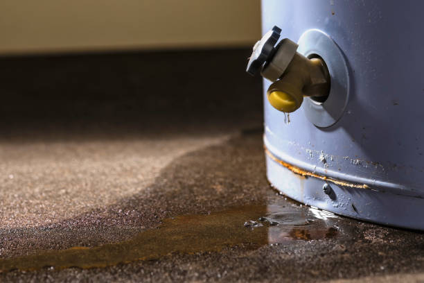 Best Flood restoration services  in Holden Heights, FL