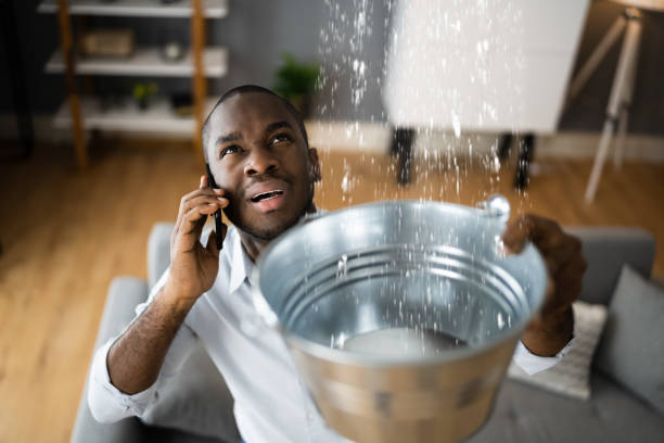  Holden Heights, FL Water damage restoration Pros
