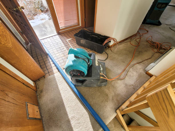 Best Water damage restoration near me  in Holden Heights, FL