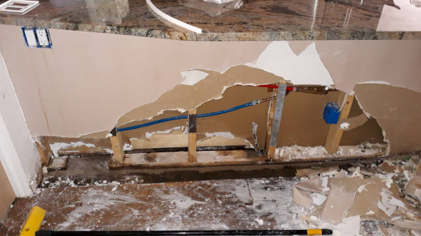 Best Flooded house restoration  in Holden Heights, FL
