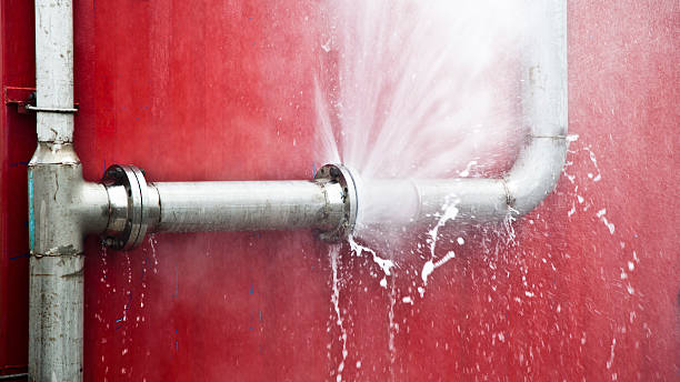 Best Carpet water damage restoration  in Holden Heights, FL